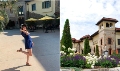 Italian winery Niagara
